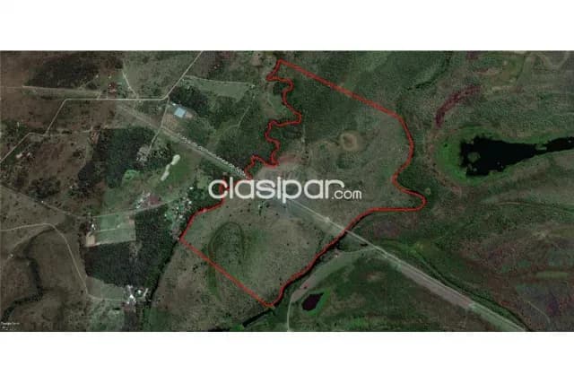 Estancia/Campo - Venta - Paraguay Presidente Hayes Villa Hayes, foto 2