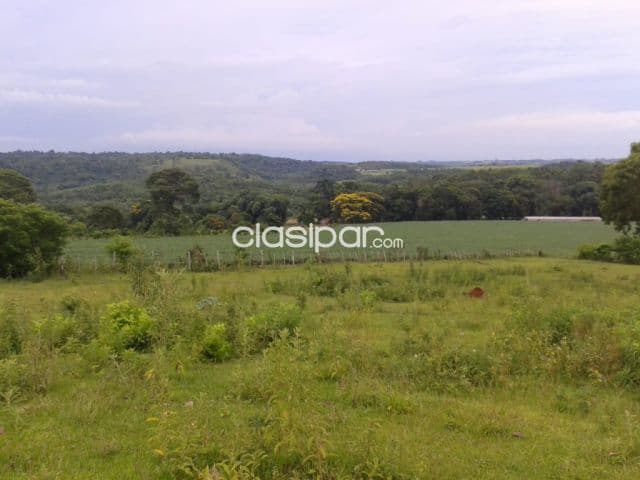Campo Agrícola/Ganadero en Trinidad - 60 Ha
