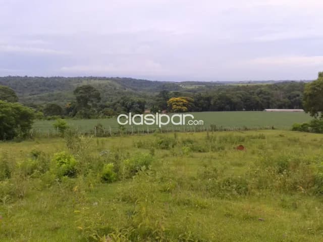Campo Agrícola/Ganadero en Trinidad - 60 Ha — foto 2