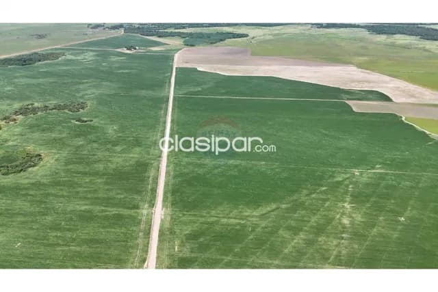 Estancia formada para agricultura - yuti caazapa, foto 3