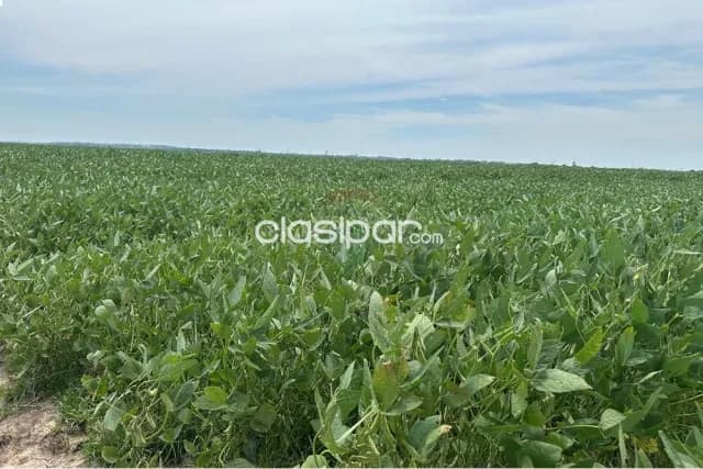 Estancia formada para agricultura - yuti caazapa, foto 5