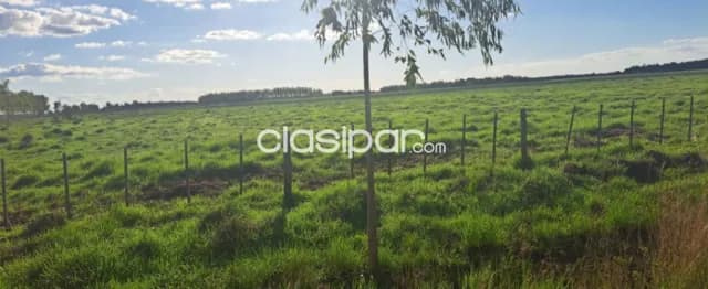 Propiedad de 512 htas.-Especial para ganadería y reforestación!!!!, foto 2