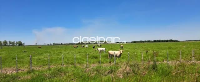 Propiedad de 512 htas.-Especial para ganadería y reforestación!!!!, foto 3