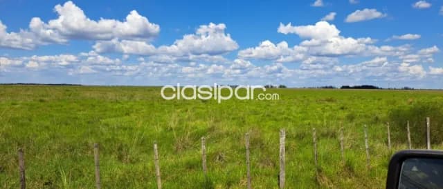 Propiedad de 512 htas.-Especial para ganadería y reforestación!!!!, foto 4