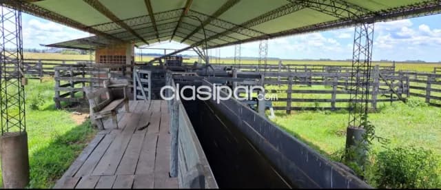 Propiedad de 512 htas.-Especial para ganadería y reforestación!!!!, foto 5