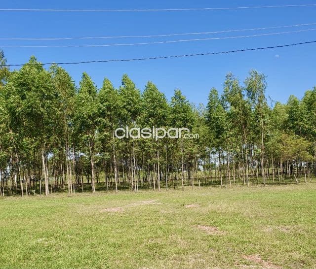 Terreno Agrícola/Ganadero en Villa Hayes sobre Ruta - 14 Ha