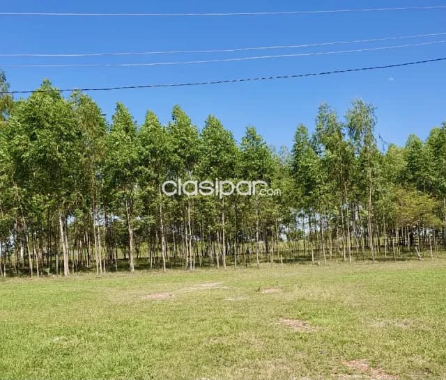 Terreno Agrícola/Ganadero en Villa Hayes sobre Ruta - 14 Ha — foto 2