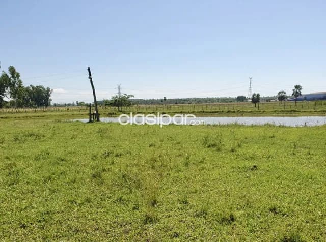 Terreno Agrícola/Ganadero en Villa Hayes sobre Ruta - 14 Ha — foto 3