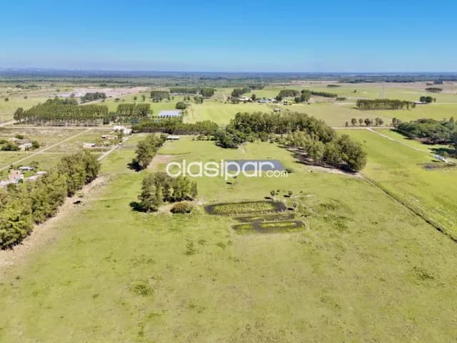 Terreno Agrícola/Ganadero en Villa Hayes sobre Ruta - 14 Ha — foto 5