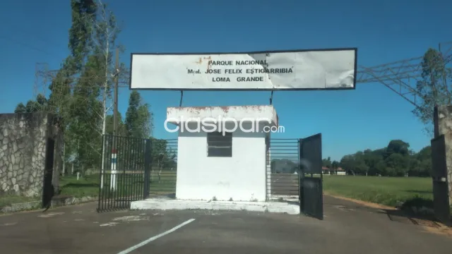 Remate de 5 hectareas en loma grande, cordillera...!!! — foto 3