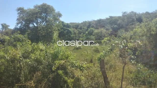 Remate de 5 hectareas en loma grande, cordillera...!!! — foto 5