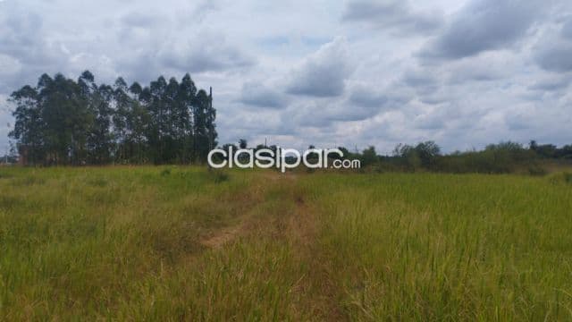 Acceso sur guarambaré zona ball terreno de 15 hectáreas — foto principal