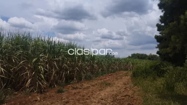 Acceso sur guarambaré zona ball terreno de 15 hectáreas — foto 4