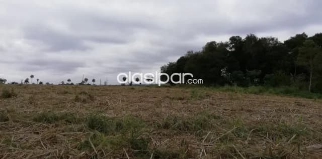 Acceso sur guarambaré zona ball terreno de 15 hectáreas — foto 5