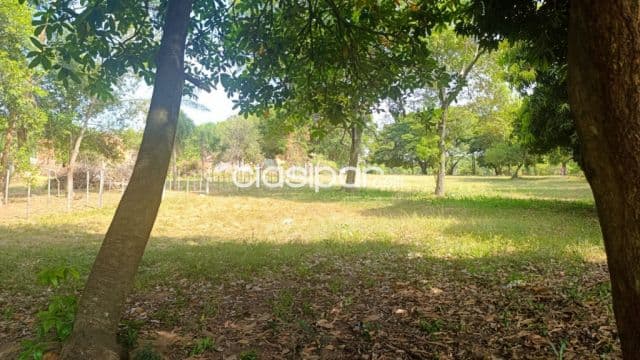 Amplio terreno sobre calle asfaltada en limpio