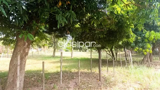 Amplio terreno sobre calle asfaltada en limpio, foto 4