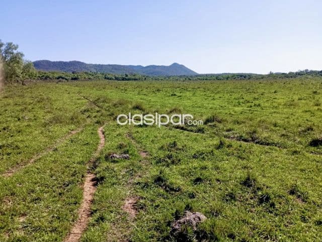 Campo Agrícola/Ganadero en Acahay sobre Ruta - 242 Ha — foto principal
