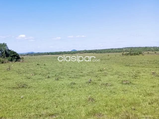 Campo Agrícola/Ganadero en Acahay sobre Ruta - 242 Ha — foto 3