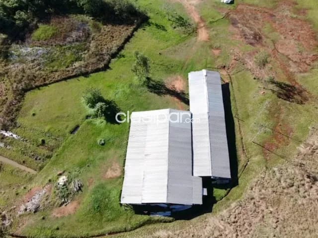 2 ha zona villarica sobre ruta, foto 3