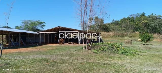 2 ha zona villarica sobre ruta, foto 5