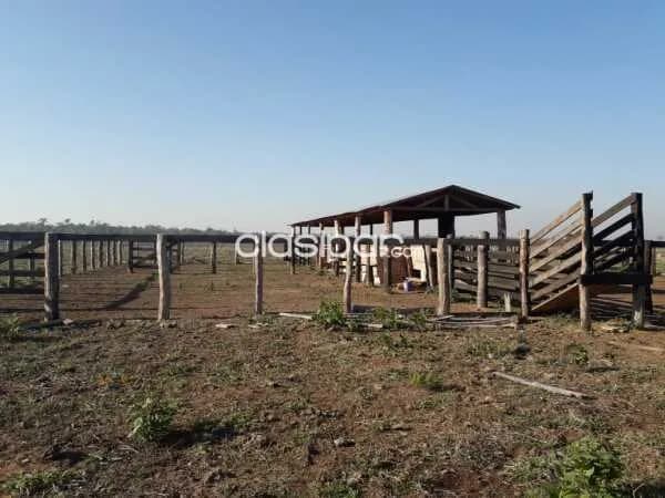Itakyry, alto parana: Inigualable, 5.700 has agropecuaria, agrícola, mecanizada, bosques — foto 3