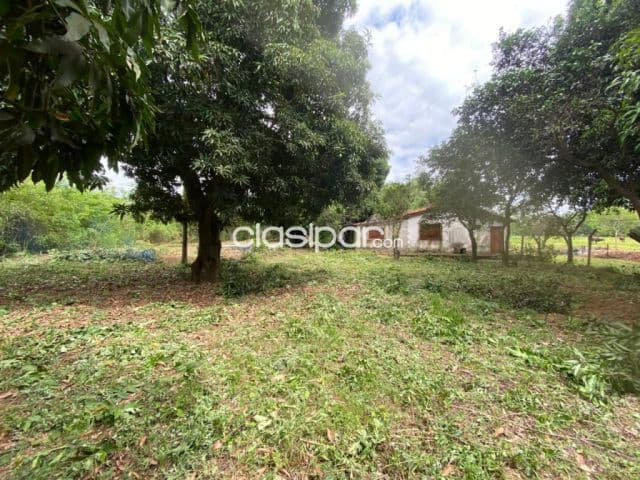 Hermosa propiedad de 9,6 has en yaguaron compañía guajaibity