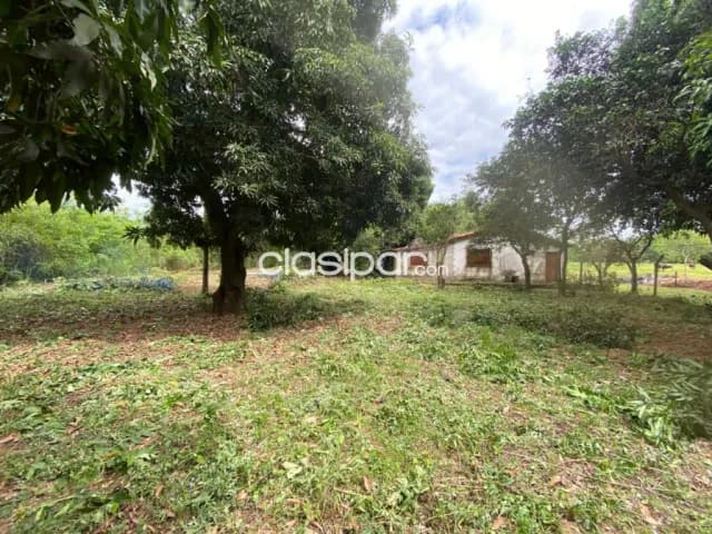Hermosa propiedad de 9,6 has en yaguaron compañía guajaibity, foto 2