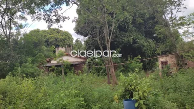 Hermosa propiedad de 9,6 has en yaguaron compañía guajaibity, foto 4