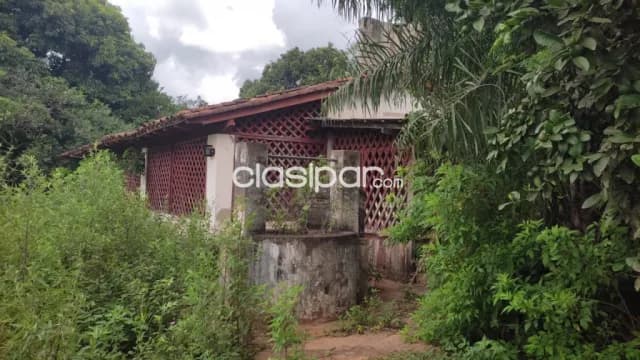 Hermosa propiedad de 9,6 has en yaguaron compañía guajaibity, foto 5