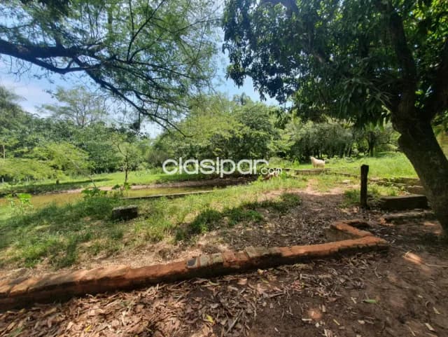 En venta Terreno de 3 has en la Ciudad de Areguá con una casa familiar — foto 3