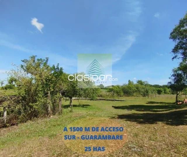 Guarambaré 25 hectáreas a 1500 metros de acceso sur sobre ruta asfaltada, foto 5