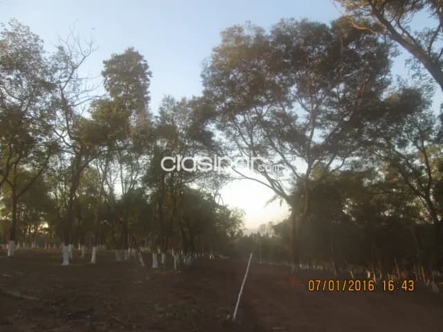 Terreno a cuotas en San Bernardino, zona alta con buena vista y empedrado por este mes ya, foto 4