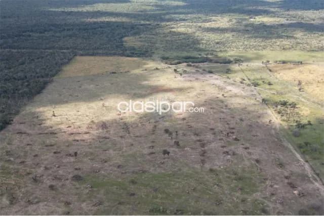 Estancia/Campo - Venta - Paraguay Presidente Hayes General José María Bruguéz, foto 3