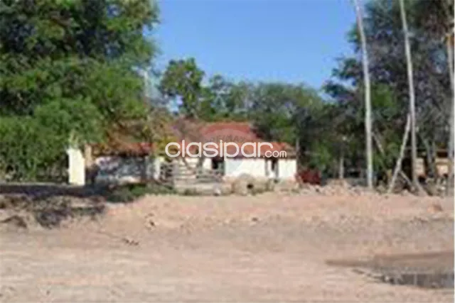 Estancia/Campo - Venta - Paraguay Presidente Hayes General José María Bruguéz, foto 4