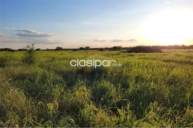 Estancia/Campo - Venta - Paraguay Presidente Hayes Villa Hayes — foto 2