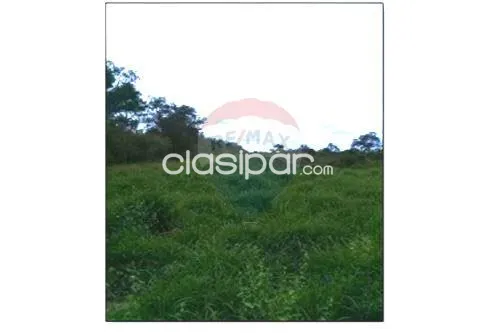 Estancia/Campo - Venta - Paraguay Boquerón Fortín Pozo Hondo — foto 2