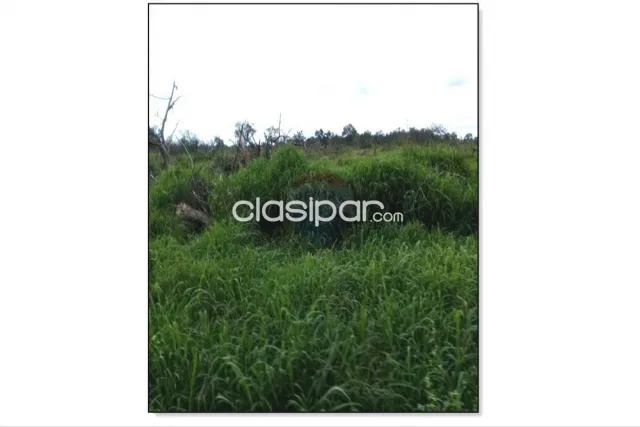 Estancia/Campo - Venta - Paraguay Boquerón Fortín Pozo Hondo — foto 3