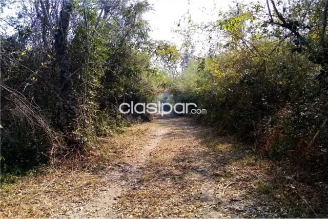 Campo en villa hayes, foto 4