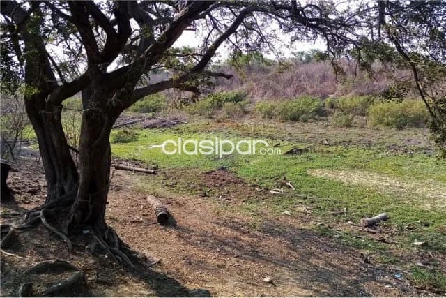 Campo en villa hayes, foto 5