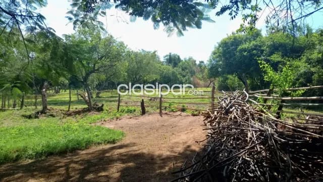 Terreno Rural en Villeta - 10 Ha — foto 3