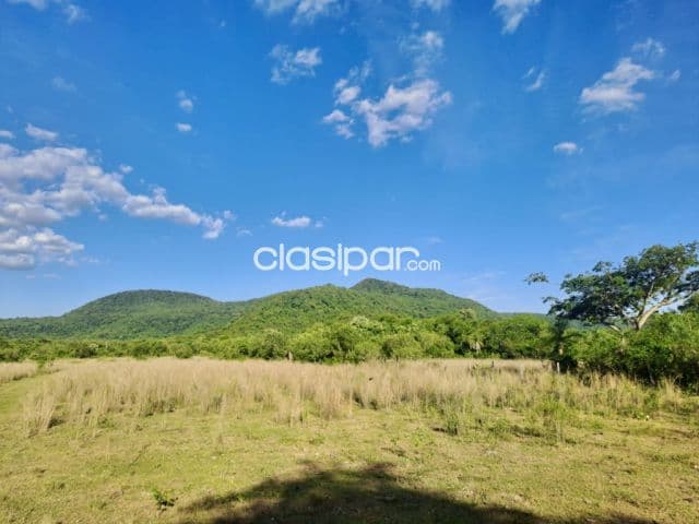 Terreno Rural en Pirayú - 20 Ha — foto 1