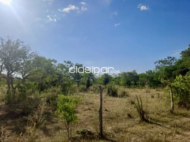 Terreno Rural en Pirayú - 20 Ha — foto 3