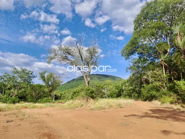 Terreno Rural en Pirayú - 20 Ha — foto 4