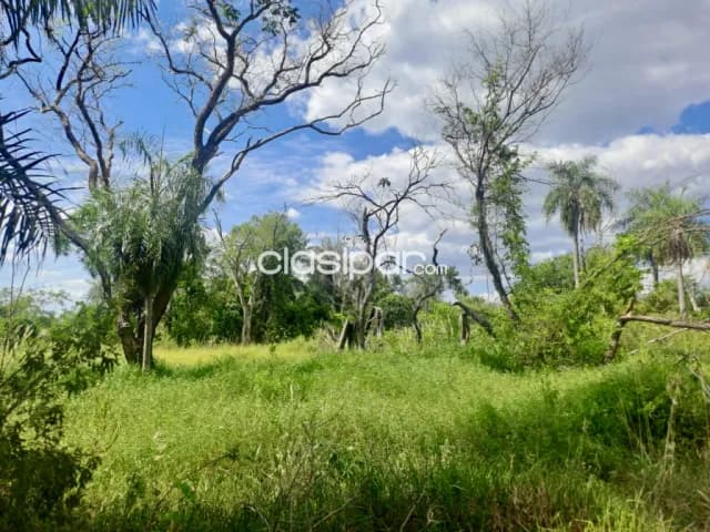 Terreno Rural en Pirayú - 20 Ha — foto 5