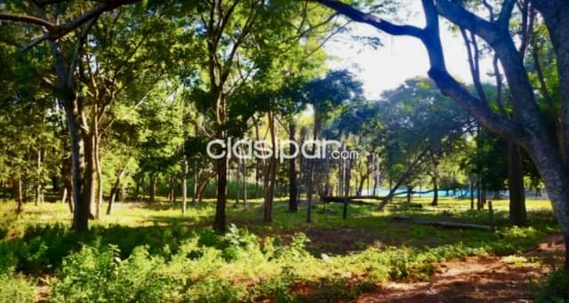 Terreno Comercial en Luque - 4 Ha, foto 2