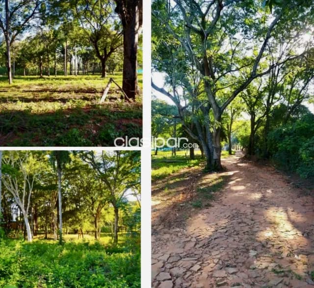 Terreno Comercial en Luque - 4 Ha, foto 4