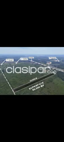 Puerto falcon, pdte. Hayes, prox. Ruta 12 y 9: 5 has, multiples usos, topografía, foto 5