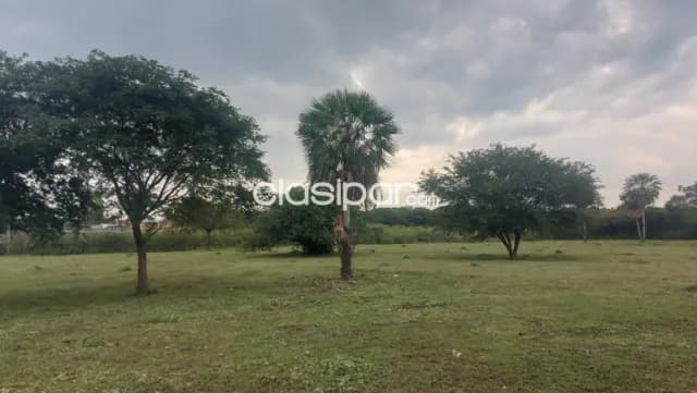 Limpio, piquete cue, a300 m de la ruta: 7.3 has, alto potencial, zona mixta industrial — foto 4
