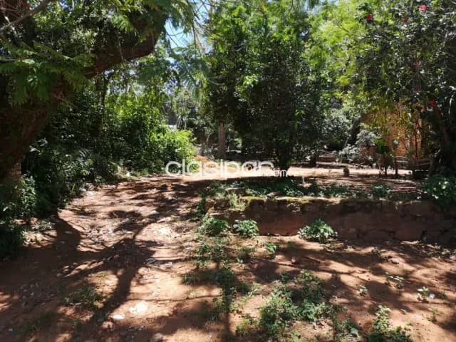 Terreno en barrio pa'i ñu de Ñemby, foto 5