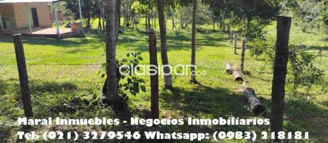 Amplio terreno en santa elena - itacurubi de la cordillera — foto 5